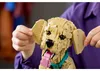 LEGO Icons Cucciolo Di Golden Retriever 11384 Voir les images du produit 25