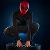 Hasbro - Maska Elektroniczna Spider-Man: Homecoming z Serii Voir les images du produit 13