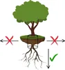 An illustration showing a tree with its roots, indicating where a root barrier should be placed. Produktbild-Vorschau