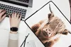 MuchoWow® Laptop Hülle 17 Zoll Laptoptasche Schottischer Produktbild-Vorschau 2