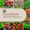 Blumfeldt High Grow Straight vyvýšený záhon 180 x 60 x 90 Náhled obrázku produktu 4