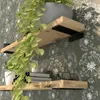 Two wooden shelves mounted on a wall with a dandelion pattern. The shelves hold plants, books, and glasses. Produktbild-Vorschau