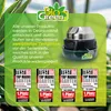 BioGreen Paraffin Gewächshausheizung "Warmax Antifrost" 150 Produktbild-Vorschau 6