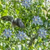 Set van 8 vogelwerende windmolen-decoraties voor de tuin, Productafbeelding-voorbeeld 5