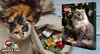 TRIXIE PREMIO Adventskalender für Katzen, 24,5 × 37 × 3,5 Náhľad obrázku produktu 20
