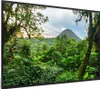 MuchoWow® MuchoWow® Gerahmtes Poster Dschungel - Baum - Produktbild-Vorschau 7