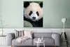 MuchoWow® Poster Panda - Wildtiere - Porträt - Stein 90x120 Produktbild-Vorschau 5