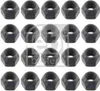 A collage of black nuts arranged in rows and columns on a white background. Anteprima dell’immagine prodotto