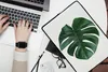 MuchoWow® Laptop Hülle 14 ZollEine grüne botanische Produktbild-Vorschau 2