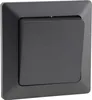 A close-up, front-facing view of a dark gray light switch with a raised button, mounted on a square plate. Produktbild-Vorschau