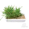 TRIXIE 4236, Katze, 100 g Produktbild-Vorschau 5