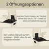 SONGMICS Mülleimer Küche, 2 x 30 Liter, 2 Fächer, Produktbild-Vorschau 4