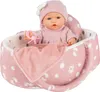 A baby doll in a pink bassinet with a blanket and pacifier. Produktbild-Vorschau
