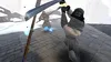Ninja Legends VR Produktbild-Vorschau 4