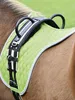 Busse Longiergurt DOUBLE, Größe:Pony, Farbe:navy/passion Produktbild-Vorschau 5