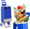 A blue shopping trolley is shown next to a collection of groceries spilling out of another shopping trolley. Podgląd zdjęcia produktu