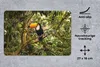 MuchoWow® Mauspad Mousepad Vogel - Tukan - Dschungel - Produktbild-Vorschau 2