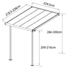 Palram-Canopia aluminium terrasoverkapping met dubbele Productafbeelding-voorbeeld 20