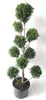 Gartenbonsai Thuja ‘Martin’ 140–150 cm – immergrün, Produktbild-Vorschau 1