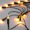 A close-up shot of a string of clear fairy lights with black wires on a white background. Voir les images du produit