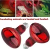 Reptilien Rotlichtlampe, 2 Stück Rotlichtbirne 100W, Produktbild-Vorschau 2