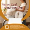 Maxiga Daunenkissen 40x80 cm | 100 % DAUNE | Füllgewicht Produktbild-Vorschau 9