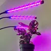 Gardlov 2x LED Lempa augalų auginimui - 2 vnt. Produktbild-Vorschau 16