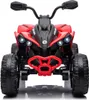 FINOOS Kinderquad Kinder Elektro-Quad, CAM-AM RENEGADE 24V Produktbild-Vorschau 2
