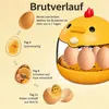 Mini Brutmaschine Eier Inkubator, automatische Temperatur, Produktbild-Vorschau 4