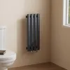A dark grey vertical radiator is mounted on a light beige wall next to a white toilet in a bathroom. Voir les images du produit