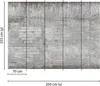 Tadessi Fototapete | Betonoptik | 3.50 m x 2.55 m | Grau | Produktbild-Vorschau 1