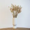 Lagurus Hasenschwanz Samtgras Trockenblumen 60-70cm DIY Produktbild-Vorschau 4