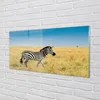 Glasbilder 140x70 Wandkunst Zebra-Box Produktbild-Vorschau 2