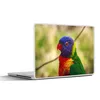 MuchoWow® Laptop Aufkleber Sticker Cover Vogel - Sittich - Produktbild-Vorschau 1