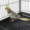 Yaheetech großer Vogelkäfig mit 4 Holzstangen und 360° Produktbild-Vorschau 8