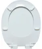 WC Sitz mit Absenkautomatik, Toilettendeckel mit Motiv | Produktbild-Vorschau 2
