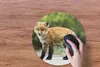 MuchoWow® Mauspad Mousepad Fuchs - Welpe - Straße 40x40 cm Produktbild-Vorschau 3