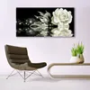 Glasbilder 140x70 Wandbild Druck auf Glas Rose Pflanzen Produktbild-Vorschau 3
