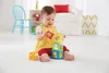 Cubi colorati impilabili Fisher-Price Anteprima dell’immagine prodotto 21