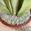 Zeolith 5 l - Hochwertig - Nährstoffreich - Für Garten und Produktbild-Vorschau 4