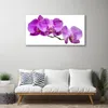 Acrylglasbilder 100x50 Wandbild Druck Blumen Pflanzen Produktbild-Vorschau 3