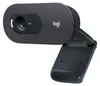 Logitech C505e webcam 1280 x 720 Pixel USB Nero Anteprima dell’immagine prodotto 16