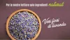 Paglianatura Katzenstreu, Lavendel, 2,4 kg/6 l – klumpend, Produktbild-Vorschau 3