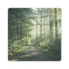 MuchoWow® Mauspad Mousepad Wald - Licht - Weg 20x20 cm - Produktbild-Vorschau 1