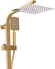 A close-up studio shot of a gold shower system. Produktbild-Vorschau