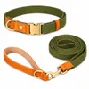 Hundeleine & Halsband Set aus Nylon mit Leder – robust, Produktbild-Vorschau 1