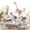 12 pièces de vase en verre ，Décoration de la maison vase de Voir les images du produit 8