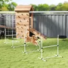 PawHut Agility Hürdenset Slalom Stangen Hunde Training Set Produktbild-Vorschau 2