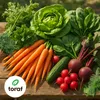Toraf semená zeleniny XXL set 3000 semien 7 druhov mrkva Náhľad obrázku produktu 5
