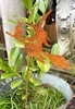 Gartenfigur Hexe mit Katze auf Besen fliegend 20x25cm + Produktbild-Vorschau 4
